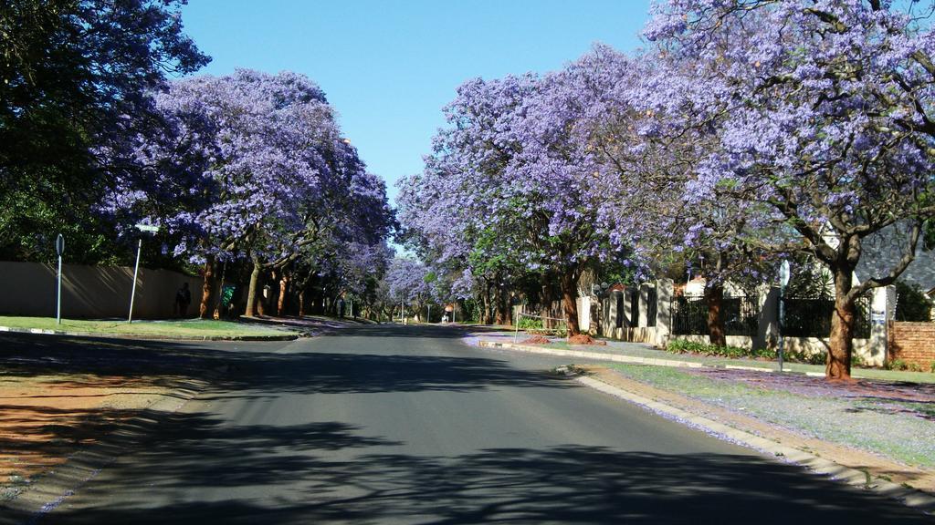 Northcliff Bed And Breakfast Randburg Exterior foto